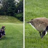 BRCA Golf Tournament 2008